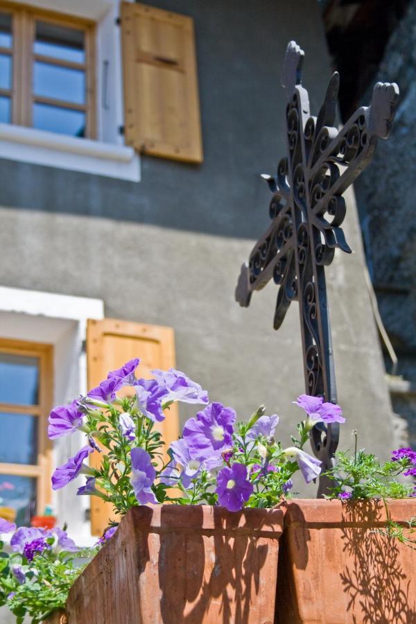 Au Cheval Blanc - Appartements Et Chambres D'Hotes Albertville Exterior foto