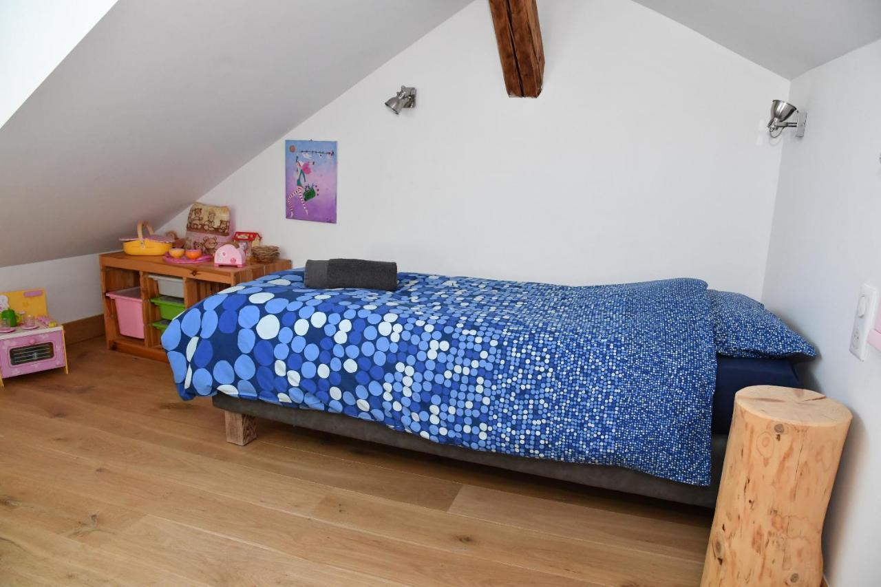 Au Cheval Blanc - Appartements Et Chambres D'Hotes Albertville Exterior foto